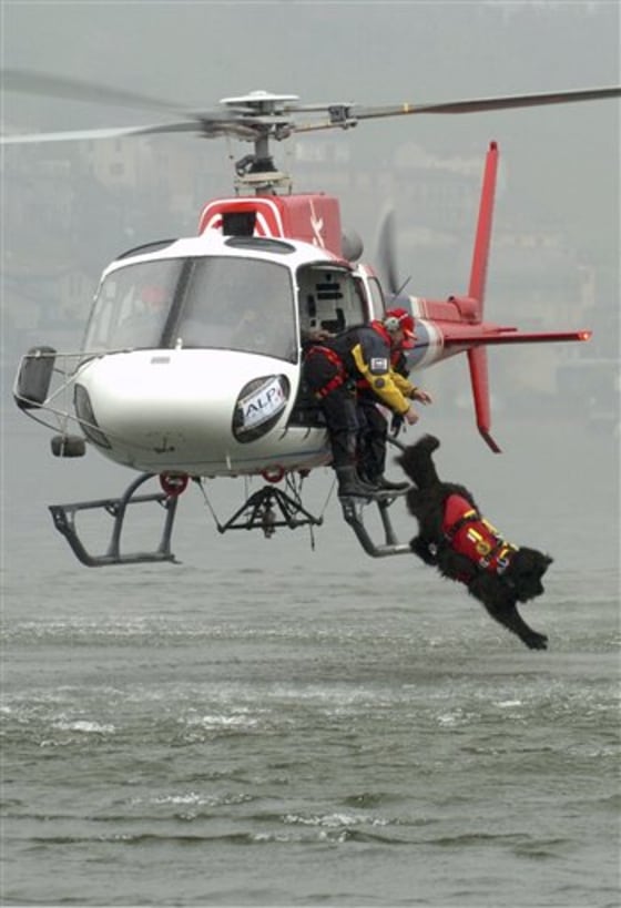 Mas the dog, jumps from a helicopter ahead of his lifeguard and school founder Ferruccio Pilenga, during a test at Lago D'Iseo lake Italy in 2008. Hundreds of specially trained dogs form Italy's corps of canine lifeguards are deployed each summer to help swimmers who get into trouble in the nation's popular seas.